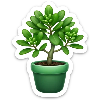 Cinematic Realistic Jade Plant Emoji, Thick and glossy, with dark green, round leaves that shine under the light. The sturdy stems and vibrant foliage give a sense of prosperity and tranquility. Soft glowing outline, capturing the essence of good luck, growth, and natural elegance in a flourishing jade plant! sticker