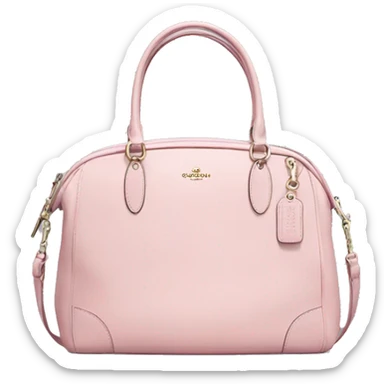 light pink coach bag sticker