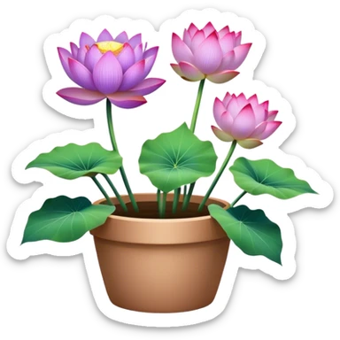 flower pot Purple Lotus,stem, Lotus leaf, bunch sticker