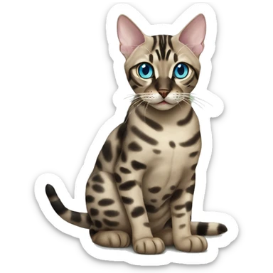 Seal Bengal CAT with Blue eyes with a charcoal Sepia bengal cat with Green eyes sitting  sticker