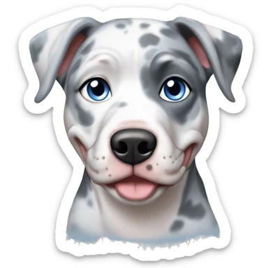 Blue Merle pitbull with blue eyes sticker