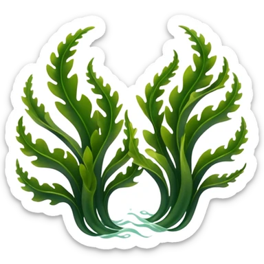 two or three rising strands of kelp seaweed with small leafy bulbs sticker