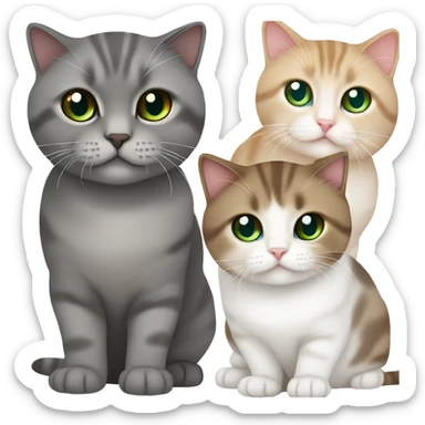 Two Scottish fold cats one cat is brown and has green eyes the other cat is white and has blue eyes and it’s smaller  sticker