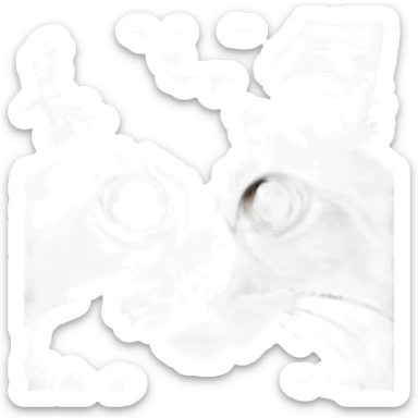 Orange black and white Somali Cat face sticker