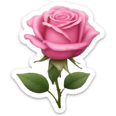 Pink rose sticker