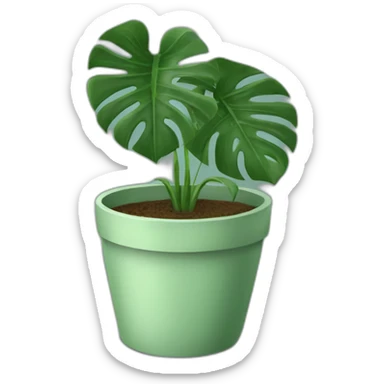 A healthy Monstera plant in a sage coloured pot sticker
