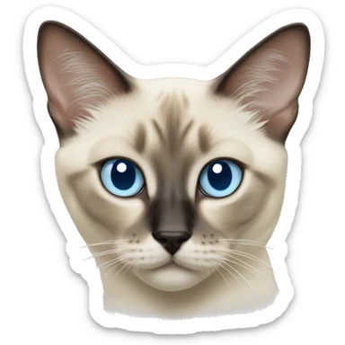 Balinese cat with light blue eyes sticker