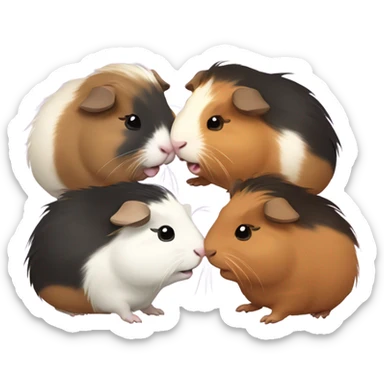 4 Guinea pigs fighting sticker