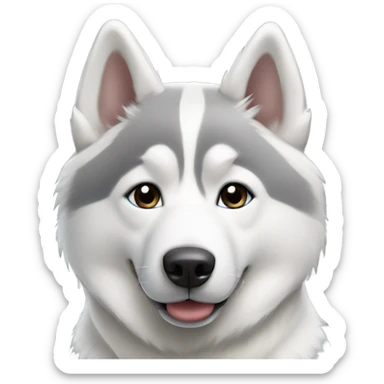 White and grey Siberian husky sticker