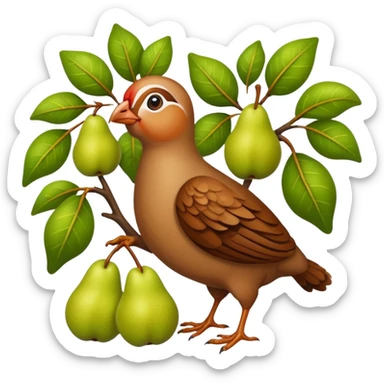 Partridge in a pear tree sticker