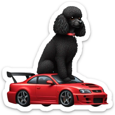 black toy poodle with s15 drift car sticker
