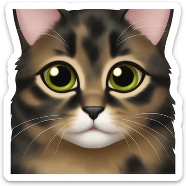 Black tortie coat and brown green eyes kitten   sticker