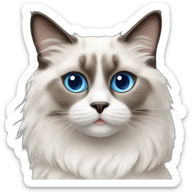 blue eyed ragdoll cat sticker