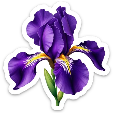 purple iris flower with elegant petals sticker