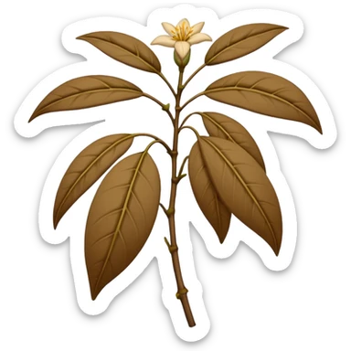 wilted indian jasmine without leaves in emoji format sticker