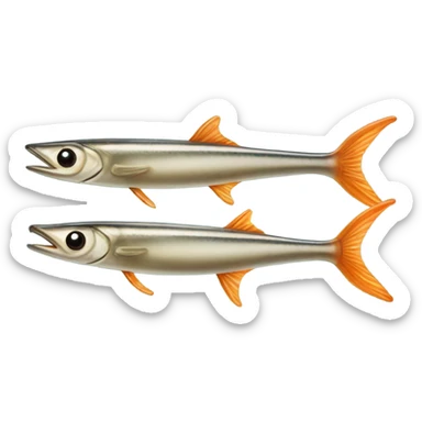 Giant Peruvian anchovy sticker