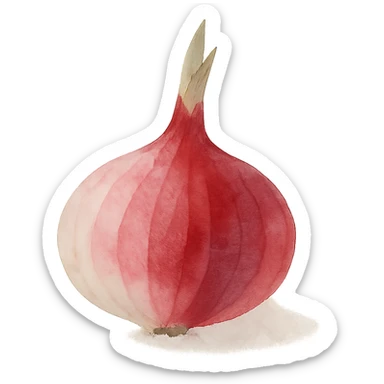 watercolor style red onion, no background sticker