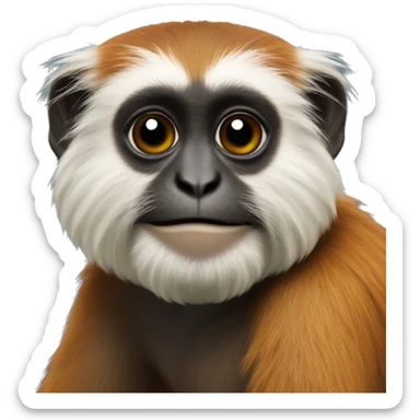 Tamarin  sticker