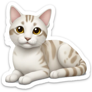 thai cat tabby point color sticker