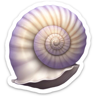 One sea shell sticker
