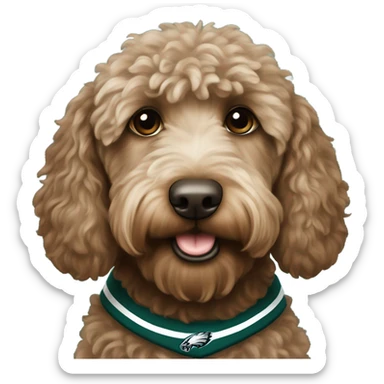 brown Labradoodle wearing a Philadelphia eagles shirt sticker