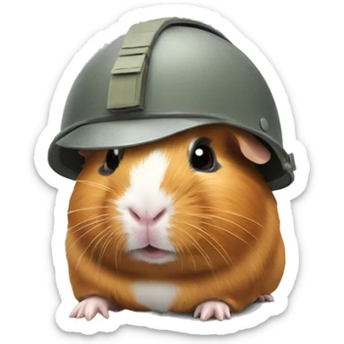 guinea pig with soldier helmet sticker