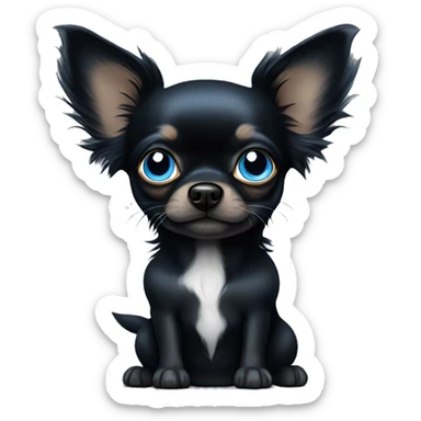All black long hair chihuahua with blue eyes sticker