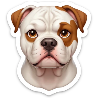 Cinematic Noble White and Brown American Bulldog Portrait Emoji, Poised and regal, with a strong, muscular build and a short, well-groomed white coat accented by warm brown patches, deep-set soulful brown eyes, Simplified yet sharp and sophisticated features, highly detailed, glowing with a soft, dignified glow, high shine, intelligent and loyal, stylized with an air of strength, focused and attentive, soft glowing outline, capturing the essence of a watchful and confident guardian, so majestic it feels as though it could step out of the screen with effortless authority! sticker