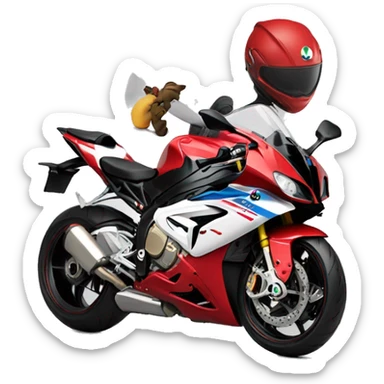 cherry t-shirt girl on bmw s1000rr sticker