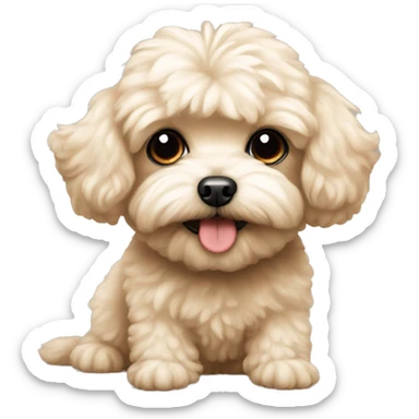 Maltipoo  sticker