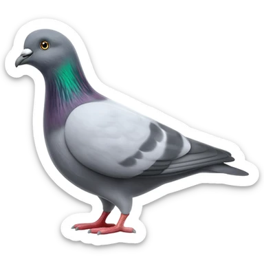 Pigeon sticker