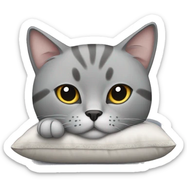 Scottish grey cat laying on the pillow sticker