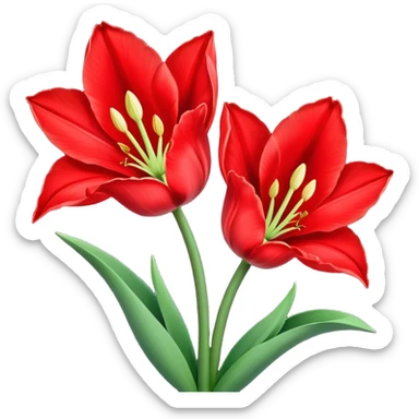tulip flower with an amaryllis flower sticker