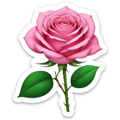 blooming pink rose with green stem sticker