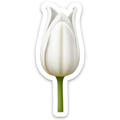white tulip  sticker