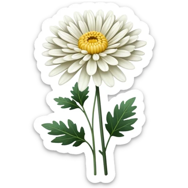 single Chrysanthemum flower, straight stem sticker