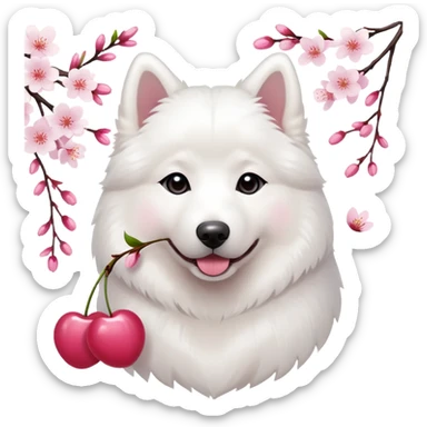 A cute  little  white Samoye and cherry blossom sticker