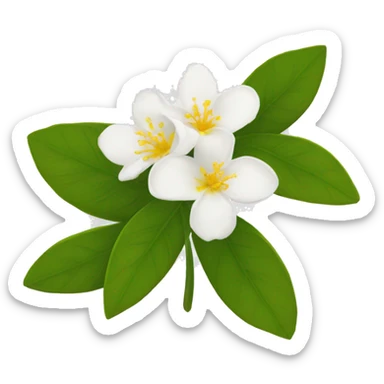  Jasmine flowers with white petals and yellow center of petals with stamens. sticker
