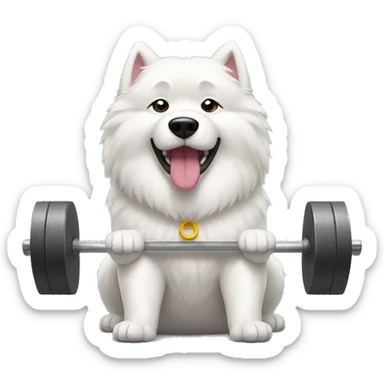 samoyed weightlifting sticker