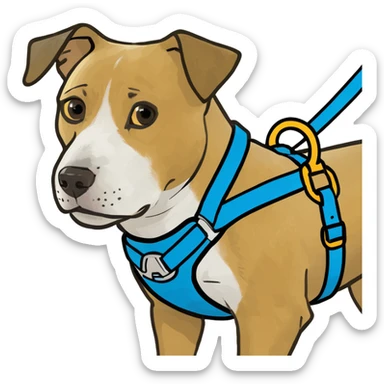 Dog with a harness sticker