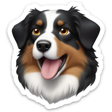 Black and tan Australian shepherd dog mostly black with one parti eye sticker