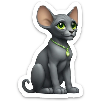 Pretty sphinx dark gray with big ears and green eyes. Sitting and licking  sticker