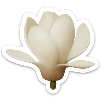 minimalist-magnolia-flower-with-soft-white-and-light-beige-petals-on-a-plain-white-background,-no-extra-details sticker
