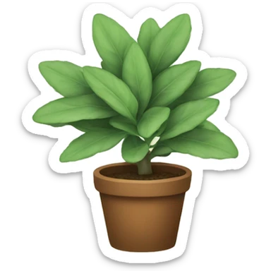 Sage plant sticker