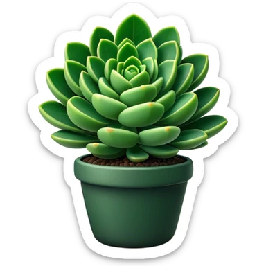 Cinematic Realistic Crassula Emoji, Compact and vibrant, with small, fleshy leaves arranged in thick, rounded clusters. The deep green hue of the leaves radiates calm, while their structured growth speaks of endurance. Soft glowing outline, capturing the essence of perseverance and tranquility in a crassula plant! sticker