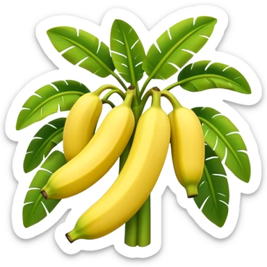A 3D cartoon banana plant with large green leaves and a bunch of bananas growing downward, natural lighting, Memoji-style. sticker