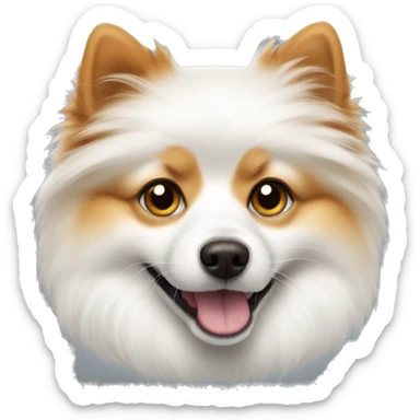 White pomerian with ginger stains sticker