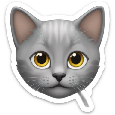 A grey kitten with a "Navid" text on top sticker