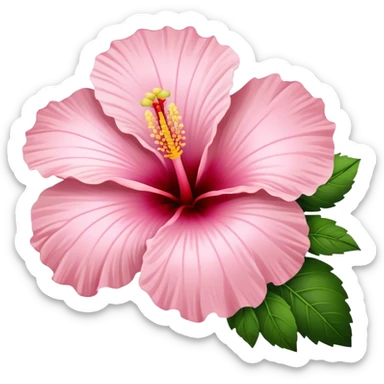 pale pink hibiscus  sticker