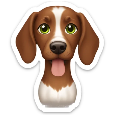 Lebanese with green eyes and brown hair holding a brown teckel sticker